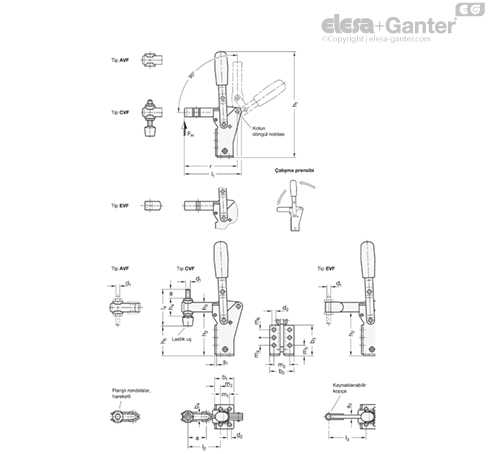 GN 812.1 Manivelalı kıskaçlar | Elesa+Ganter